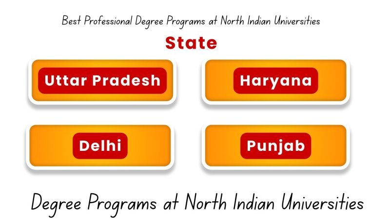 Top Professional Degree Programs in North India: Your 2026 Career Roadmap